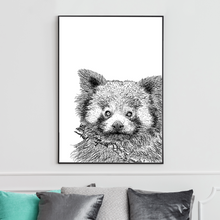 Load image into Gallery viewer, Poster Red Panda
