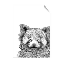 Load image into Gallery viewer, Poster Red Panda
