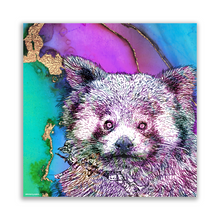 Load image into Gallery viewer, Metal Prints Square Red Panda
